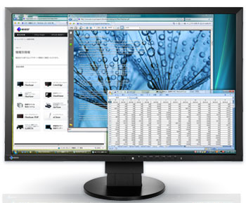  24 EIZO FlexScan EV2416W (EV2416W-BK)