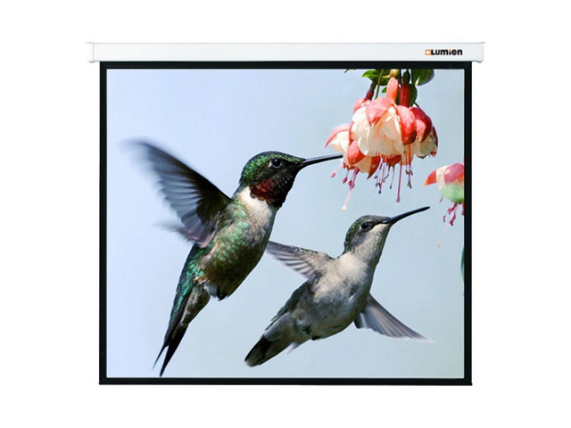  Lumien Master Control 274x366 MW (LMC-100111)