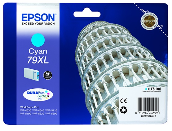  Картридж Epson C13T79024010