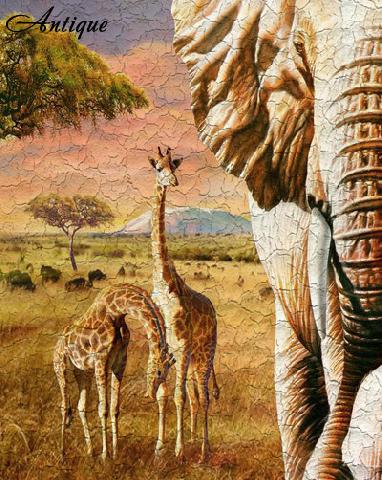  Arto di Fresco Antique hard