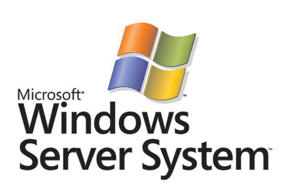 Microsoft Windows Server CAL 2008