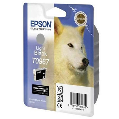  Картридж Epson C13T09694010