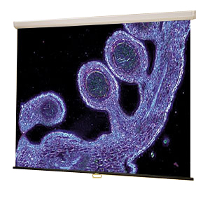  Draper Luma AV (1:1) 84/84 213*213 HCG (16000816)