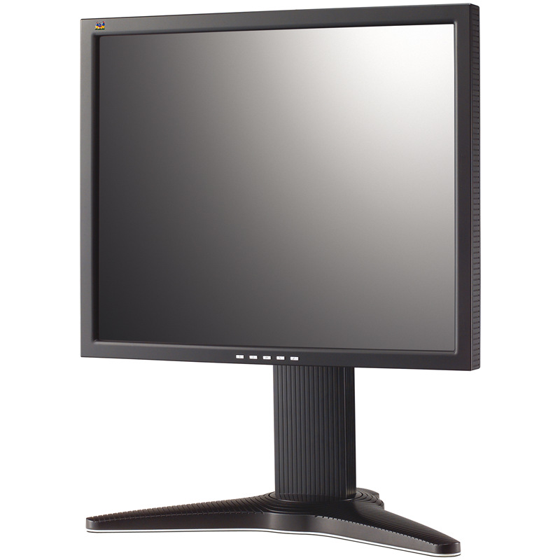  ViewSonic VP950 19 LCD monitor