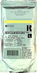  Ricoh D1369660 yellow
