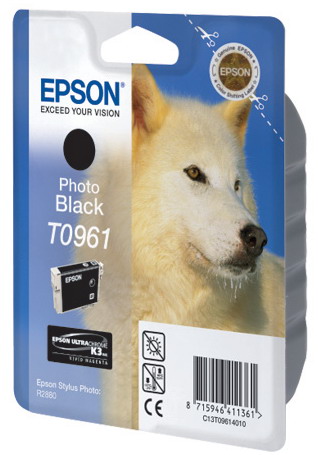      Epson T0961 (C13T09614010)