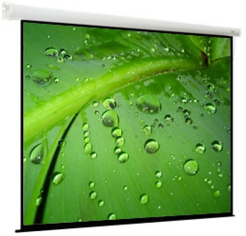   ViewScreen Breston 305x305 (16:9) (EBR-16906)