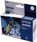  Epson EPT033540