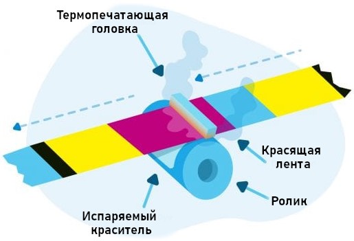 Принцип работы и особенности выбора сублимационного принтера: полный гид