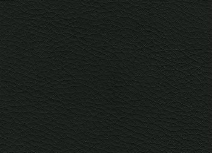    Verner gtpCh1 PU01