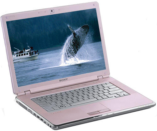  Sony Vaio CR31SR/P VGN-CR31SR/P