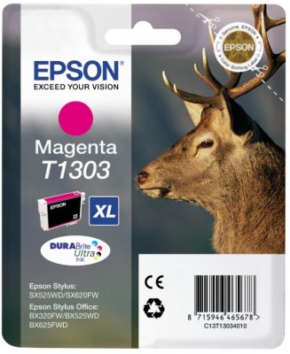  Epson C13T13034010/C13T13034012