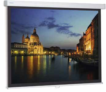   Projecta ProScreen 240x183 Matte White (10200009)