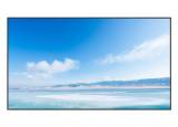   Exell EXPD-DA55AM5, 55"
