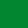    Oracal 8300 F061 Green 1.26x50 
