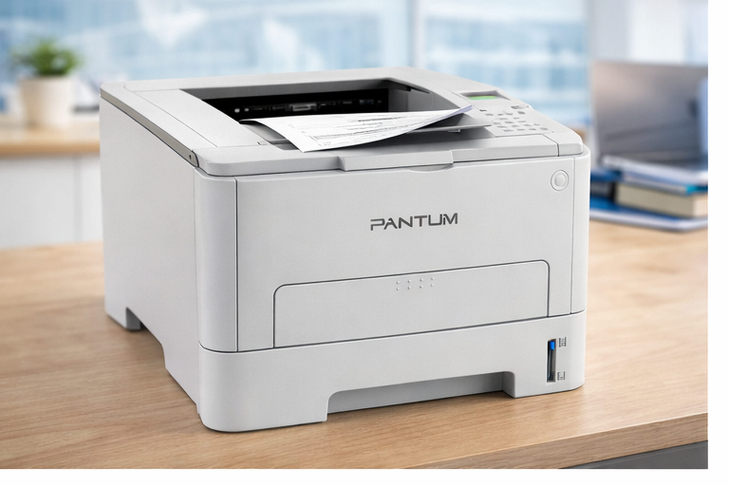 �������  Pantum P3010DW