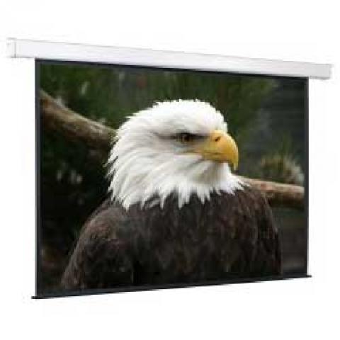 ������������ �����  ScreenMedia Champion 206x274 MW SCM-4305