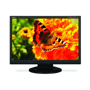�������  22 NEC AS221WM Black