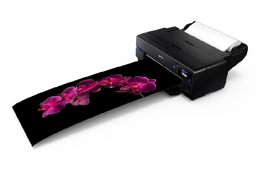   Epson SureColor SC-P800 (Roll Unit Promo)