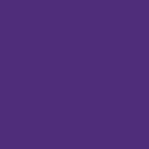 

Термопленка sports film Purple 280