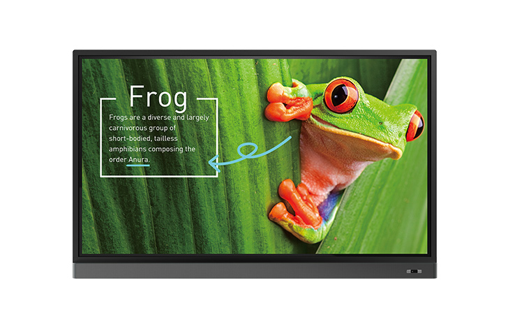  BenQ RM7501K