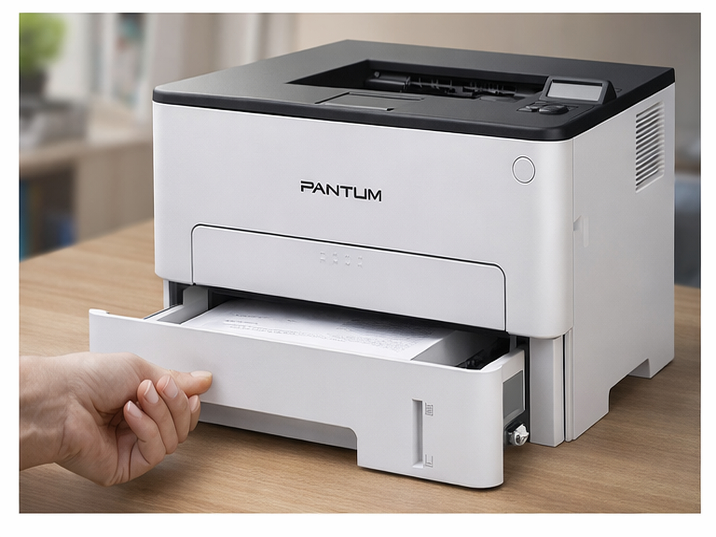 �������  Pantum P3010D