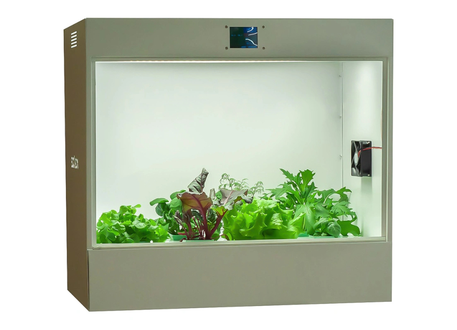 ��������������� ECOBOX ED