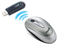  Genius Traveler 600 (USB) silver, wireless, 27MHz, optical, 1000 dpi, 3 , 3D scroll