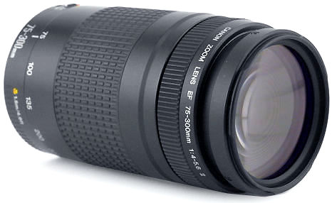  Canon EF 75-300mm f/4-5.6 III