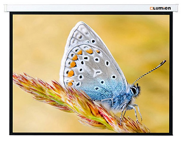   Lumien Master Picture 259x400  (LMP-100126)