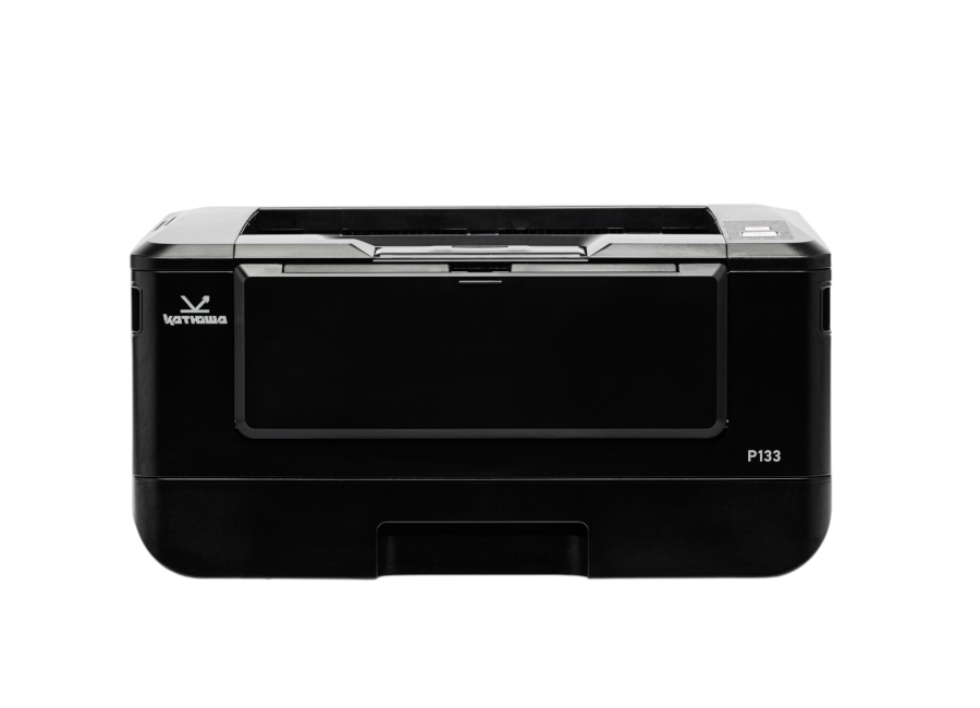 �������  ������ P133-256-1-pp, ��������, A4, 33 �/���, 1 ���, 256 ��, ����� � �����