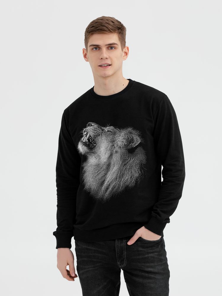  Like a Lion, ,  M
