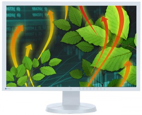  24 EIZO FlexScan EV2416W (EV2416W-GY)