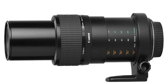  Canon MP-E 65mm f/2.8 1-5x Macro