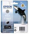     Epson T7607  SC-P600 (C13T76074010)