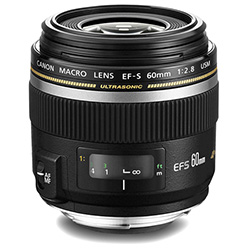  Canon EF-S 60mm f/2.8 Macro USM