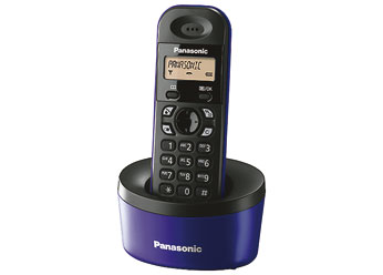  Panasonic DECT KX-TG 1311 RUV 