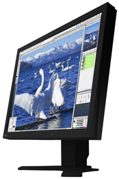 �������  21.3 EIZO TFT ColorEdge CG211, Black, TCO 03, 2xDVI-I, USB hub, Hood