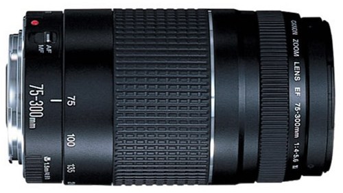  Canon EF 75-300mm f/4-5.6 III