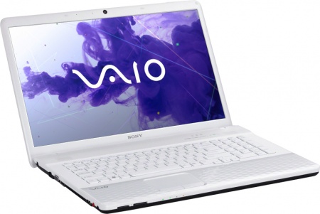  Sony VAIO VPCEJ2L1R  (VPC-EJ2L1R/W)