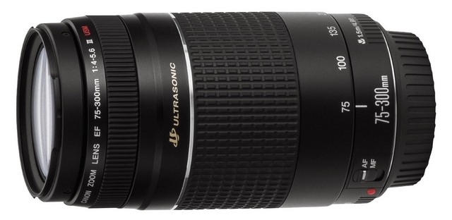  Canon EF 75-300mm f/4-5.6 III USM