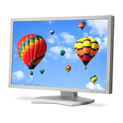  24 NEC MultiSync P242W silver/white