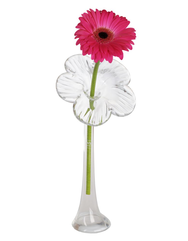 ���� ��� ��������� ��������  ���� DAISY