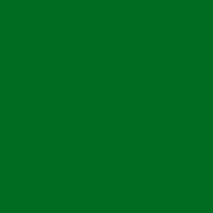    Oracal 8300 F060 Dark Green 1.26x50 