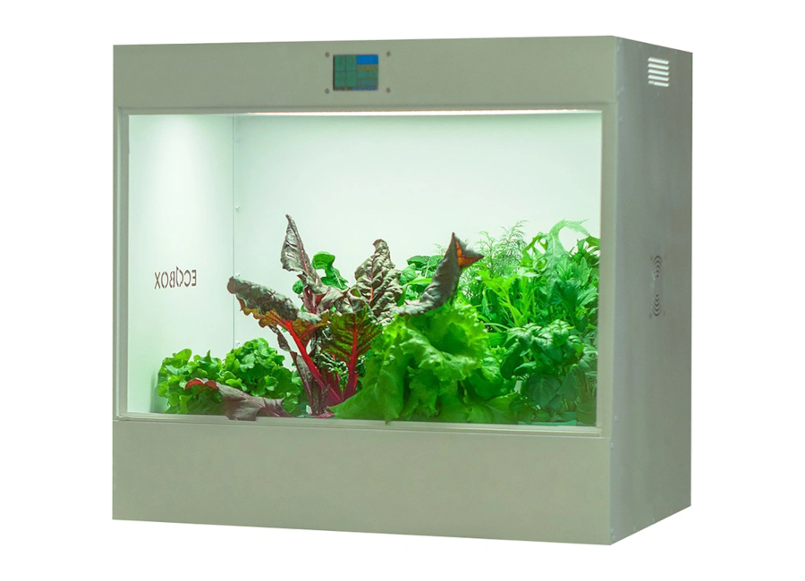 ��������������� ECOBOX ED