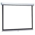   Projecta ProScreen CSR 240x240 Matte White S (10200204)