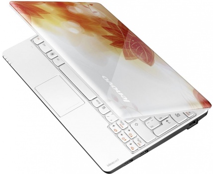 �������  Lenovo IdeaPad S100 Lotus (59312487)