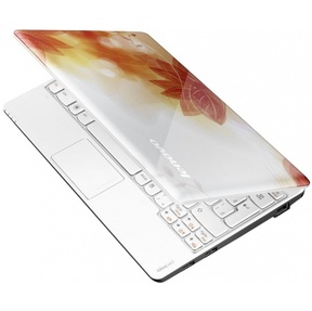 �������  Lenovo IdeaPad S100 ������ (59312485)