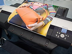 �������� �������  Canon iPF6100