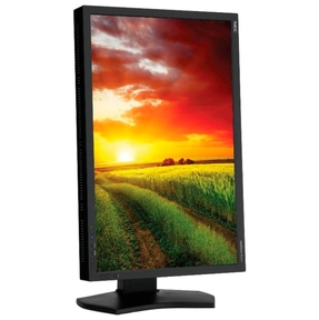 �������  24 NEC P241W �lack